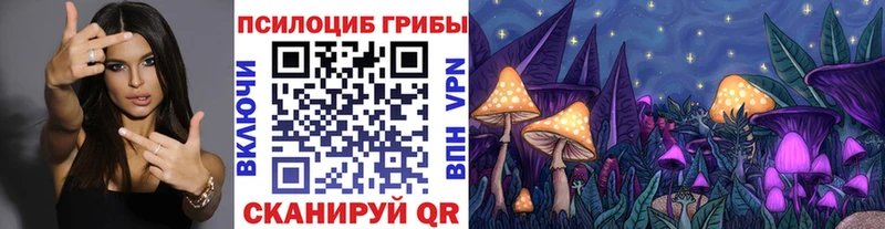где купить Калач omg маркетплейс Галлюциногенные грибы мицелий
