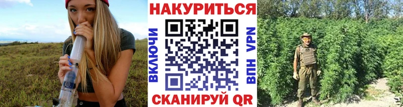 Конопля OG Kush  Калач 